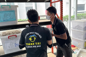 Chuyển Kho Tài Liệu Kèm Sắp Xếp Lại Kệ