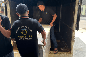 Thuê Xe Tải Chuyển Nhà Kèm Bốc Xếp